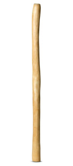 Medium Size Natural Finish Didgeridoo (TW795)
